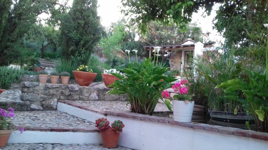 Villa Casas De Almajar Prado Del Rey Esterno foto