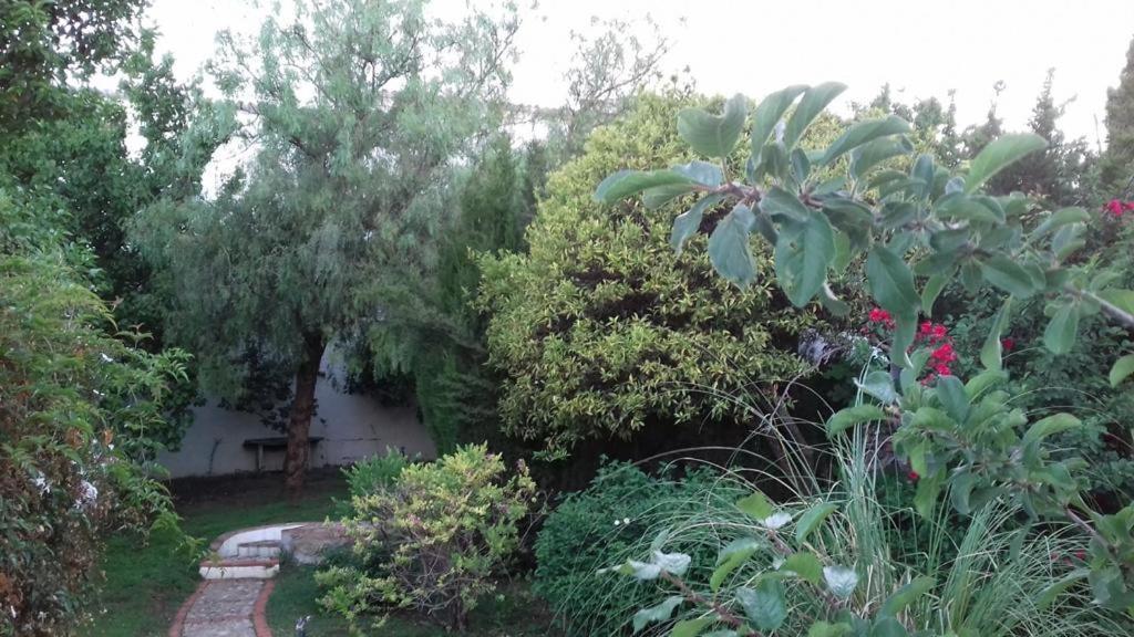 Villa Casas De Almajar Prado Del Rey Esterno foto