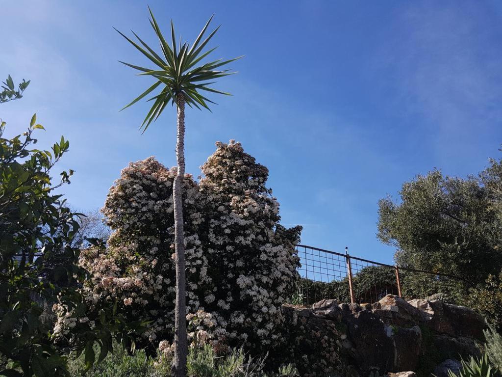 Villa Casas De Almajar Prado Del Rey Esterno foto