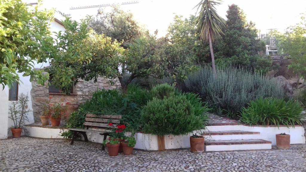 Villa Casas De Almajar Prado Del Rey Esterno foto