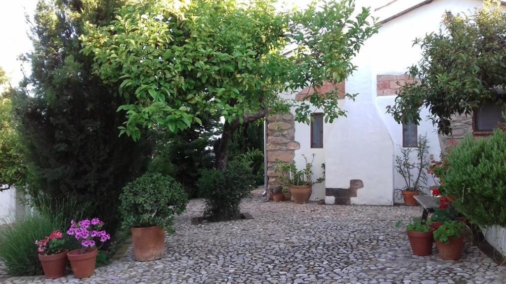 Villa Casas De Almajar Prado Del Rey Esterno foto